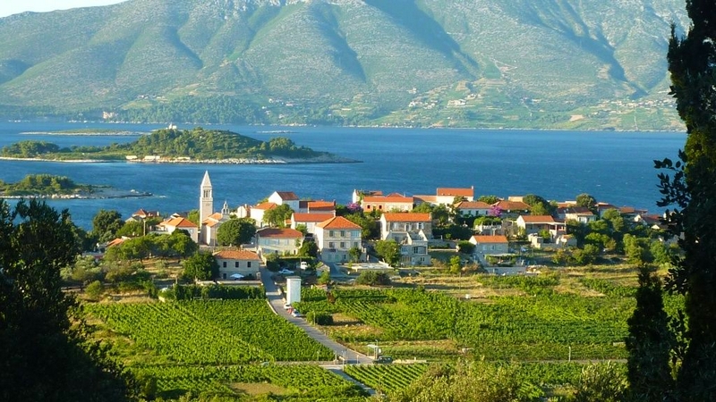 Korčula Wineyards